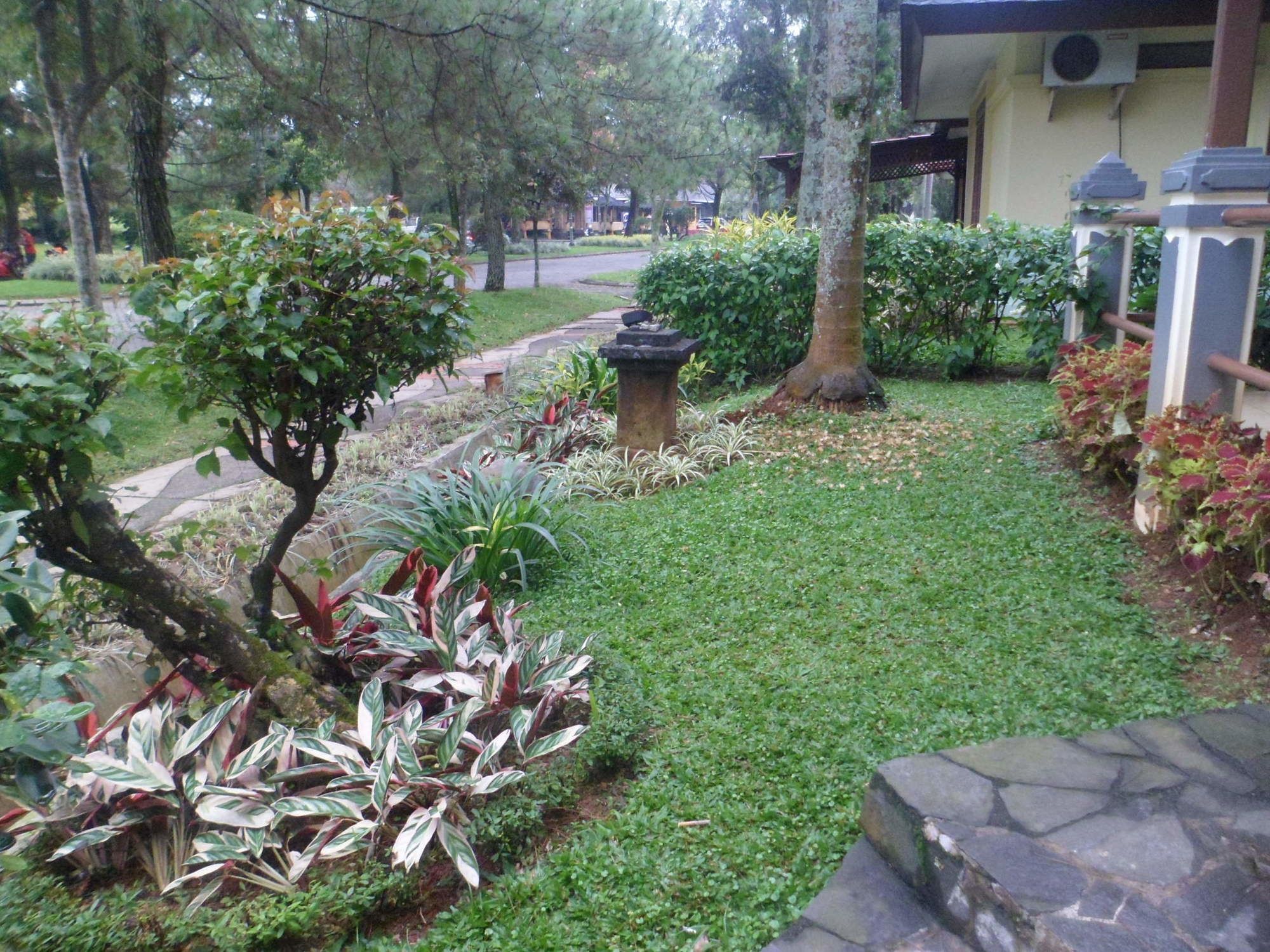 Villa Kota Bunga Blok M Cipanas  Εξωτερικό φωτογραφία